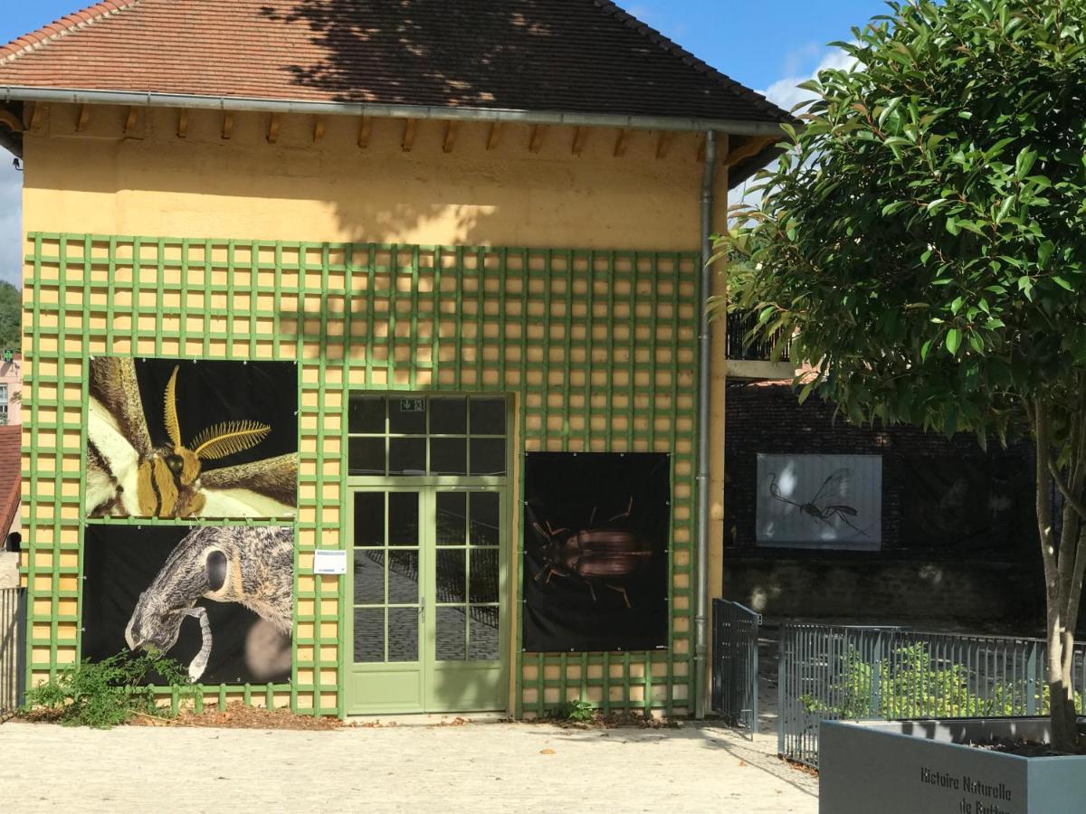 Charmante Maison Bourguignonne Avec Grand Jardin Et Parking モンバール エクステリア 写真